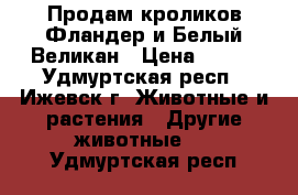 Продам кроликов Фландер и Белый Великан › Цена ­ 250 - Удмуртская респ., Ижевск г. Животные и растения » Другие животные   . Удмуртская респ.